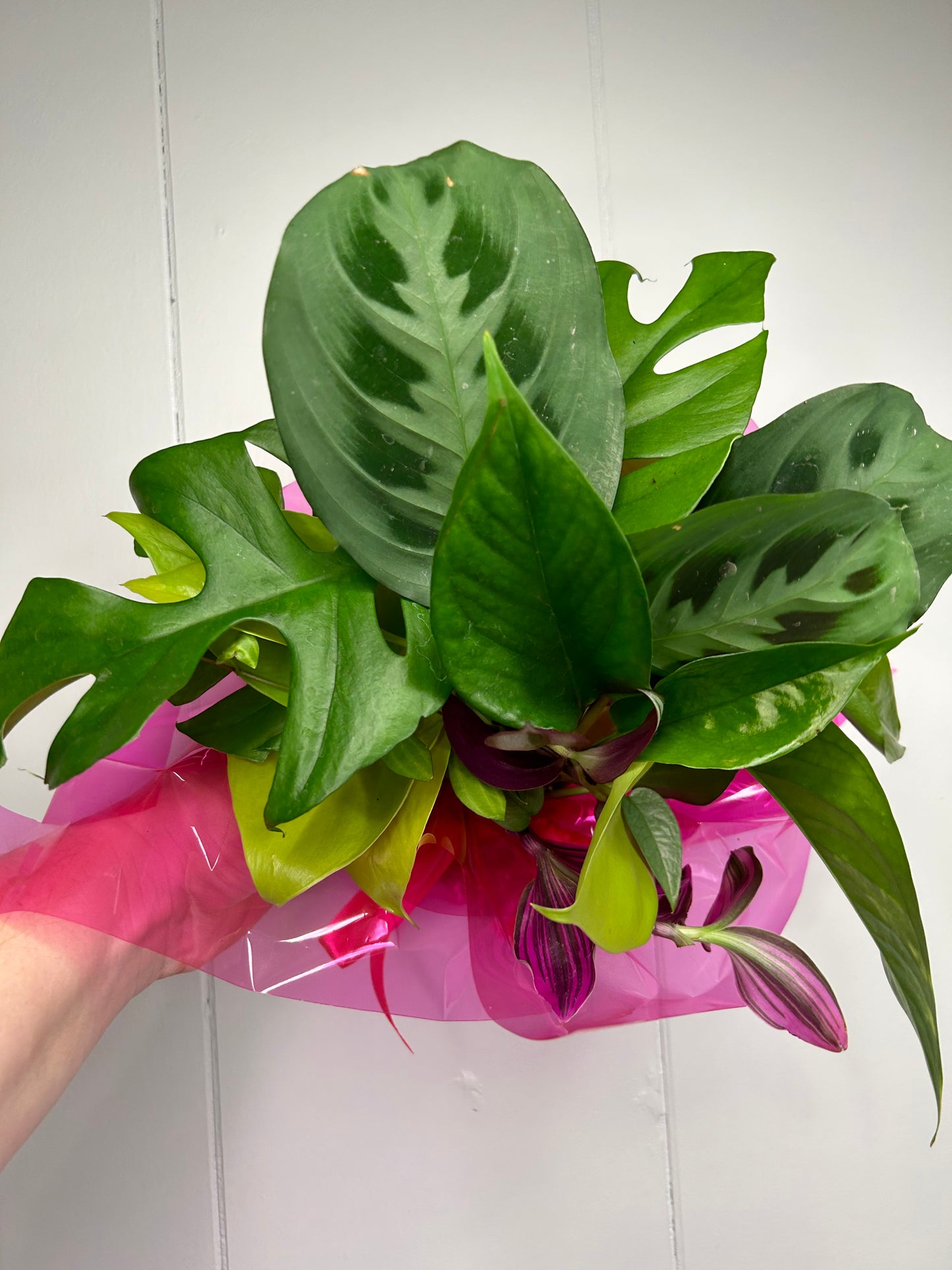 Exact Plant Bouquet 💐 lol