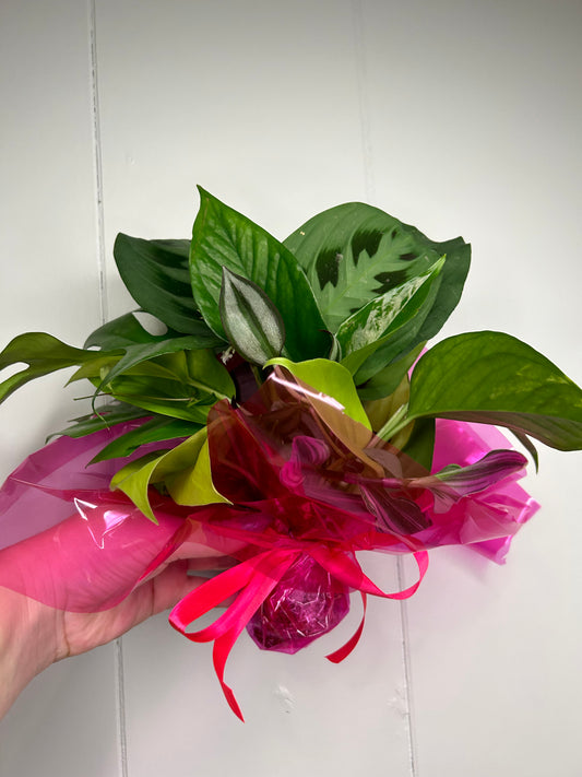 Exact Plant Bouquet 💐 lol