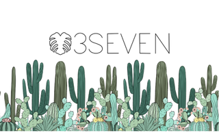 plant3seven gift card